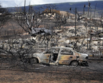 Nhiều khó khăn trong việc xác định danh tính nạn nhân cháy rừng ở Hawaii