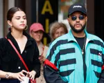 Selena Gomez phủ nhận ca khúc mới viết về tình cũ The Weeknd