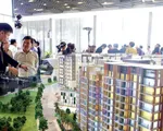 Nghiên cứu lập sàn giao dịch quyền sử dụng đất