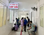 Cảnh báo nguy hiểm khi bị ong đốt