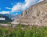 Bước vào thế giới hoang dã của vùng đất tâm linh Ladakh, Ấn Độ