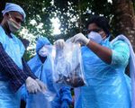 Ấn Độ trong cuộc đua ngăn chặn dịch bệnh do virus Nipah gây thương tổn não