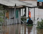 Mưa bão ở Brazil: Số người tử vong tăng lên 31, hàng nghìn người mất nhà cửa