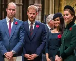 Sẽ không có cuộc hội ngộ giữa Hoàng tử William và Harry