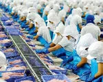 Tín hiệu lạc quan xuất khẩu thủy sản cuối năm