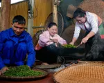 Cận cảnh quy trình sản xuất 'thủ công' chè xanh Đinh Bát Tiên đặc sản Long Cốc (Phú Thọ)