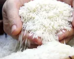 Giá gạo tăng khiến lạm phát vẫn dai dẳng ở châu Á