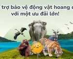 Bổ sung 1 triệu USD cho hoạt động bảo tồn động vật hoang dã