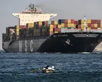 Hoạt động vận tải qua Biển Đỏ sụt giảm 30%