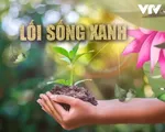 Tết trồng cây lan tỏa lối sống xanh