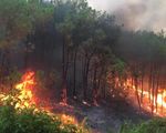 Cảnh báo nguy cơ cao xảy ra cháy rừng ở phía Nam