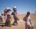 Thực trạng di dời, nạn đói và suy dinh dưỡng tăng cao gây khủng hoảng ở Sudan