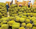 'Rộng cửa” cho trái cây Việt Nam sang thị trường Trung Quốc