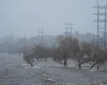 California: Cơn bão thứ hai trong tuần gây mưa lớn và mất điện