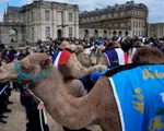 Cuộc diễu hành lạc đà nhân năm Quốc tế lạc đà 2024