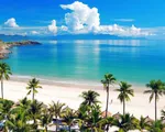 Xanh hóa bãi biển du lịch tại Nha Trang