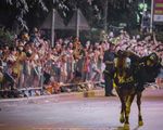 Cảnh sát cơ động kỵ binh biểu diễn trên đường phố Điện Biên
