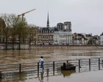 Tổ chức phi chính phủ của Pháp cảnh báo về mức độ ô nhiễm nước sông Seine trước Thế vận hội
