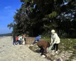 Huyện đảo Cô Tô nỗ lực xử lý rác thải