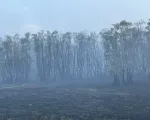 Đã dập tắt được đám cháy ở Vườn quốc gia Tràm Chim Đồng Tháp