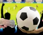 Cảnh báo tội phạm tổ chức đánh bạc dưới hình thức cá độ bóng đá mùa Euro