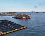 Trung Quốc ra mắt tổ hợp năng lượng tái tạo kết hợp trang trại nuôi cá