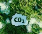 Mô hình ngân hàng điểm carbon tại Trung Quốc