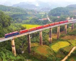 Ngành đường sắt sắp triển khai phần mềm sàn giao dịch vận tải hàng hóa