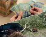 Thúc doanh nghiệp bảo hiểm tạm ứng, bồi thường thiệt hại do bão Yagi