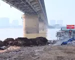 Đổ đất cả ngày lẫn đêm lấn chiếm bãi bồi ven sông Hồng