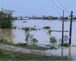 Bắc Ninh: Hơn 100 hộ gia đình tại huyện Gia Bình đang bị cô lập do ngập úng