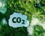 World Bank sẽ mua tín chỉ carbon ngành lúa gạo