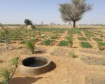 EU đồng thuận về tài chính khí hậu trước thềm COP29