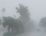 Siêu bão Milton đổ bộ Florida (Mỹ): Mưa lớn 'ngàn năm có một', lốc xoáy thổi bay nhà