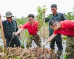 Dự án trồng 15.000 cây tràm tại rừng U Minh Thượng góp phần ứng phó biến đổi khí hậu