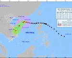 Bão số 7 giật trên cấp 17, di chuyển theo hướng Tây Tây Bắc