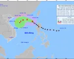 Bão số 8 di chuyển theo hướng Tây Bắc, cường độ suy yếu dần