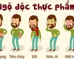 10 nguyên tắc phòng ngừa ngộ độc thực phẩm