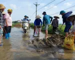 Hà Nội: Công bố tình huống khẩn cấp sạt lở đê tại Chương Mỹ