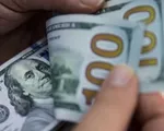 Đồng USD hướng tới năm tăng trưởng kỷ lục