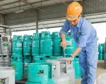 Khởi đầu năm mới giá gas giảm nhẹ