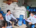 Đắk Lắk: Xử phạt 2 cơ sở sản xuất giá đỗ có nhiều vi phạm