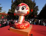Rắn trắng mang đến may mắn cho năm mới