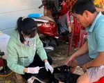 Chó dại tấn công người ở Bình Thuận