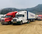 Thủ tướng yêu cầu xử lý ách tắc đăng kiểm xe đầu kéo và sơ mi rơ moóc