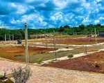 Thận trọng mua đất nền trong cơn sóng ảo