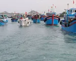 Việt Nam có khả năng gỡ 'thẻ vàng' của EC với ngành thủy sản