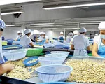 Doanh nghiệp Việt Nam chủ động ứng phó với thuế quan