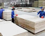 Vững vàng giữ thị trường Mỹ - Ngành gỗ chạy nước rút