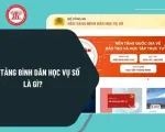 Triển khai sâu rộng, hiệu quả, lan tỏa phong trào ‘Bình dân học vụ số’